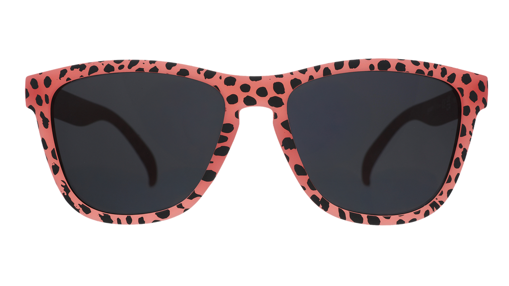 Cheetahs Always Win