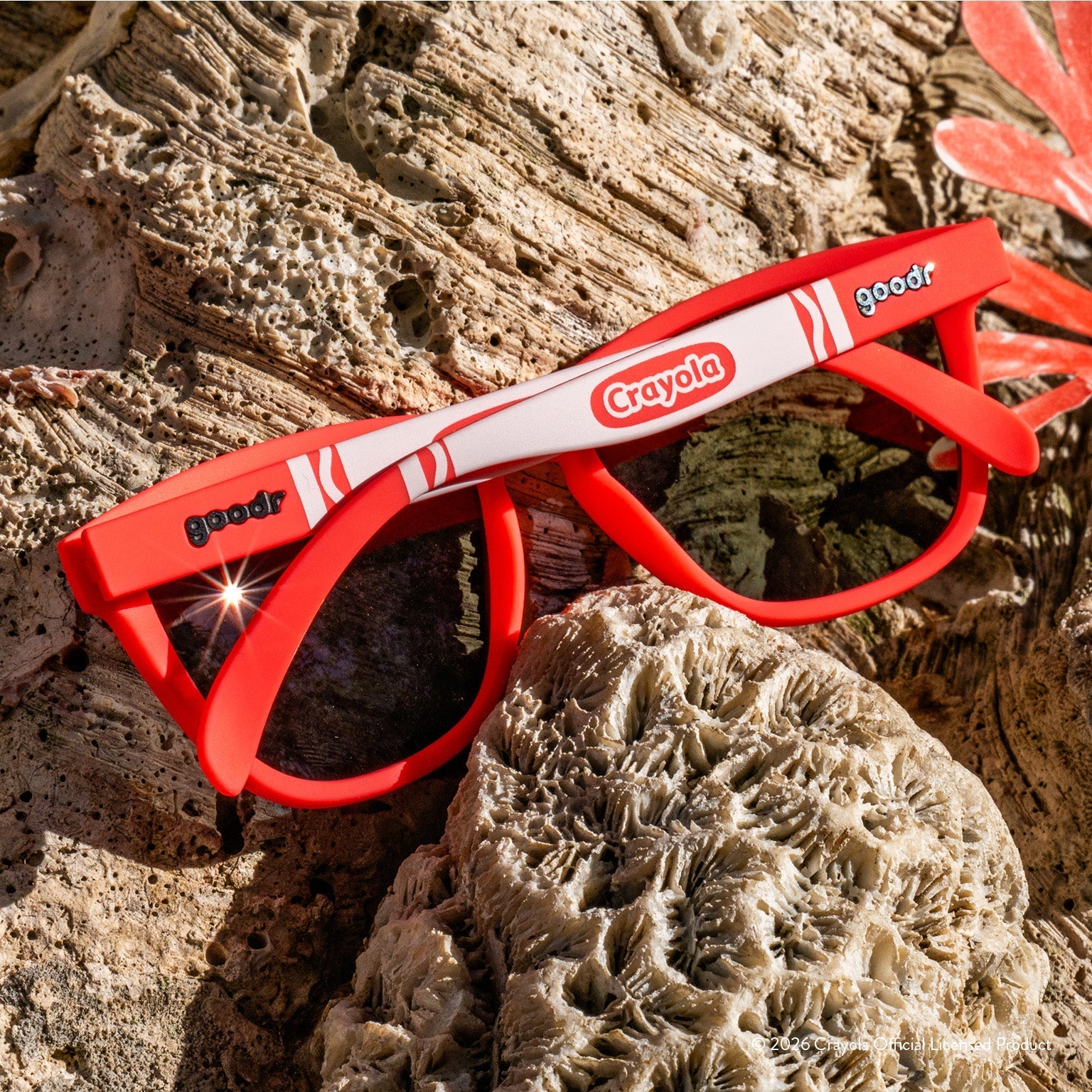 Coral Reef